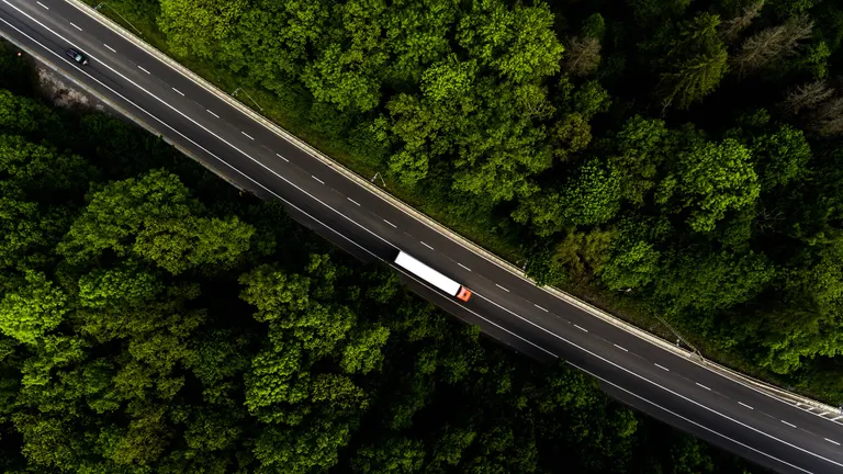 Truck in forest