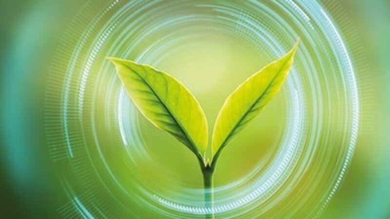 Image Velkoobchod Klimaticky Mám zájem teaser